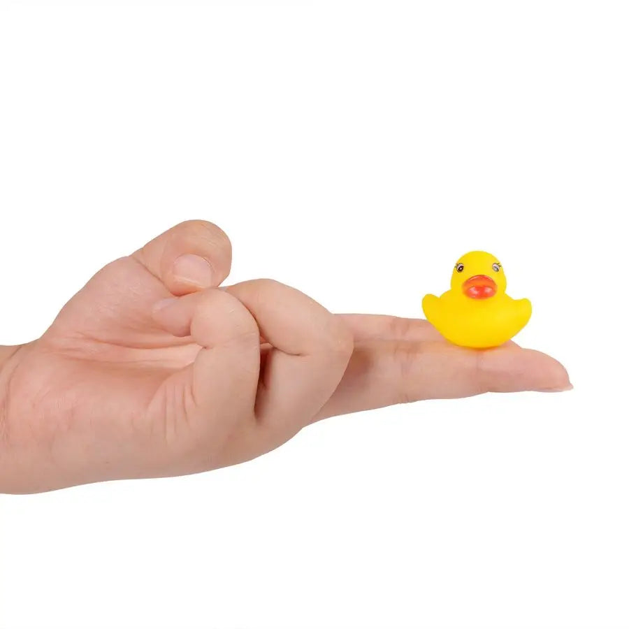 Mini Rubber Ducks Set
